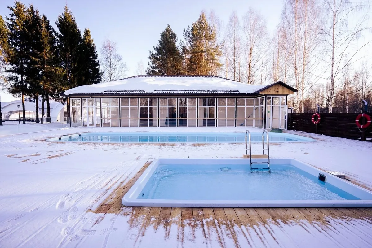 Laguna 4 — на участке в Пскове